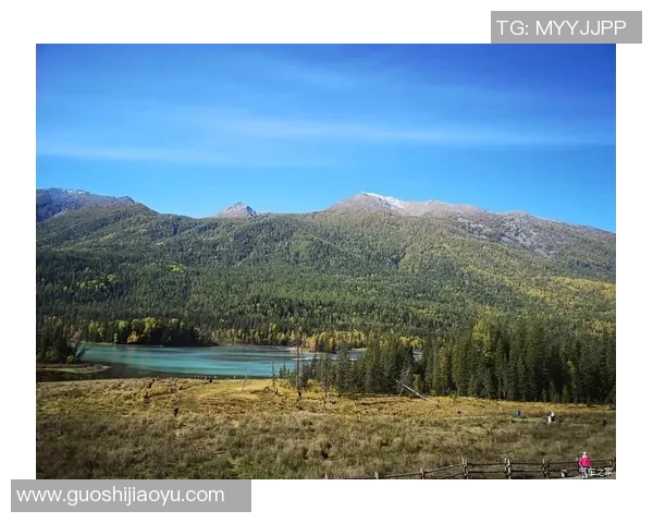 崔永熙:从普通青年到科技创新领军人物的奋斗历程与启示 崔永熙:从普通青年到科技创新领军人物的奋斗历程与启示